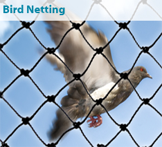 Bird Netting