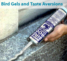 Bird Gels and Taste Aversions