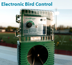 Electronic Bird Control