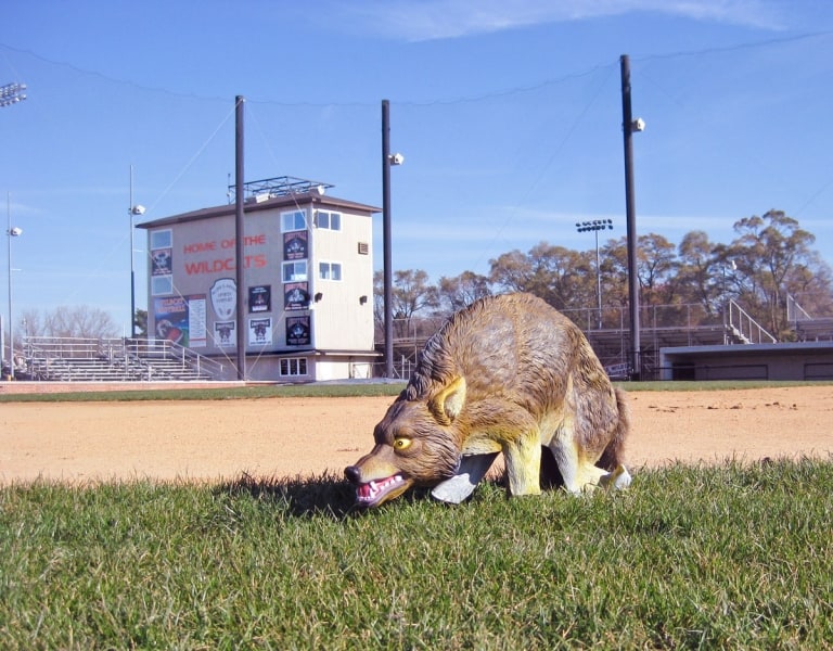 How to Keep Common Pests out of your Garden | Bird-X