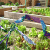 IRRI-TAPE application pic