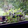 NET-STD application pic garden