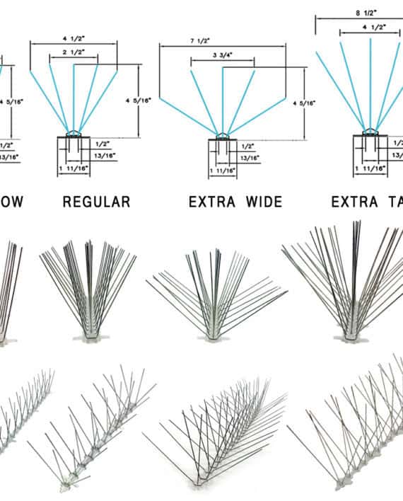 Stainless Steel Spikes BirdX