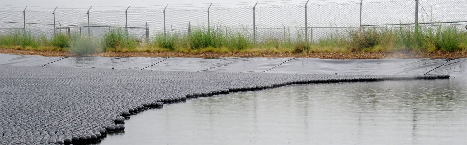 bird balls on water - application pic bird balls on water - application pic