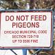 chicago city sign reading do not feed pigeons