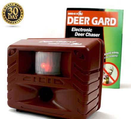 Deer Guard