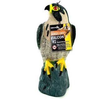 falcon predator decoy