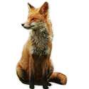 fox deterrent device icon