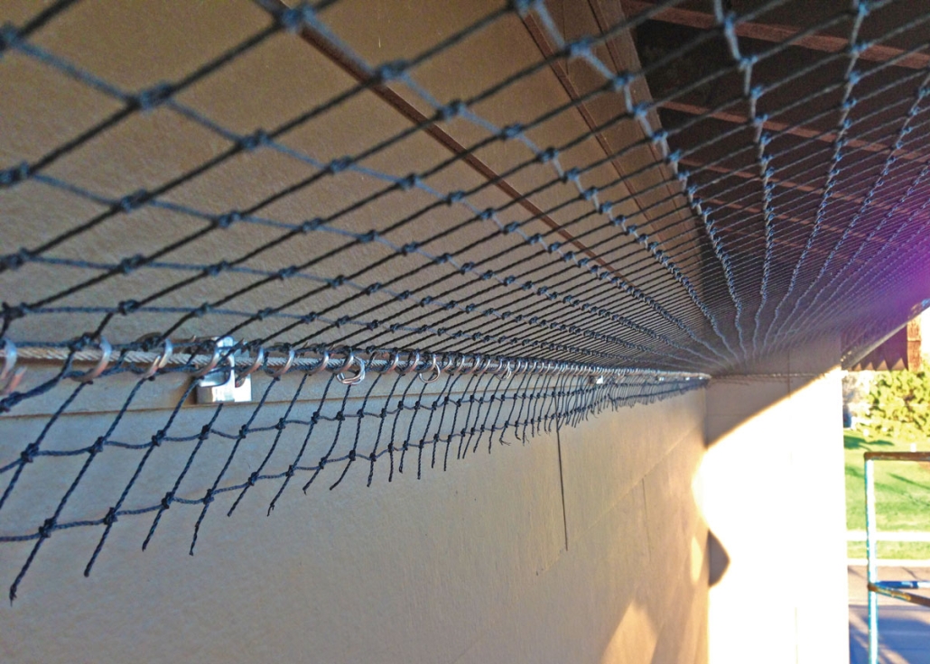 bird netting installed on the edge of a building