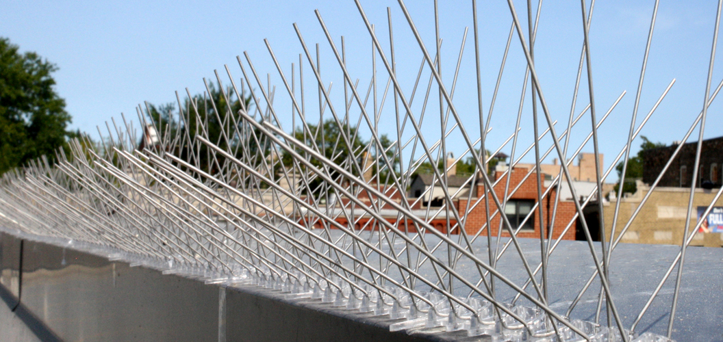 Roof Spikes For Birds