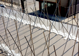 spikes default blog image