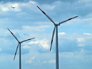 Spinning wind turbines create quite the hazard for birds and bats!